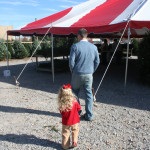 The Giant Tree Tent